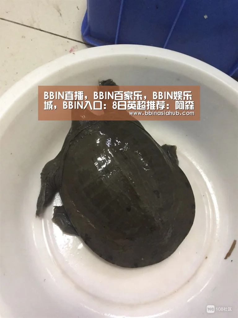 BBIN直播，BBIN百家乐，BBIN娱乐城，BBIN入口