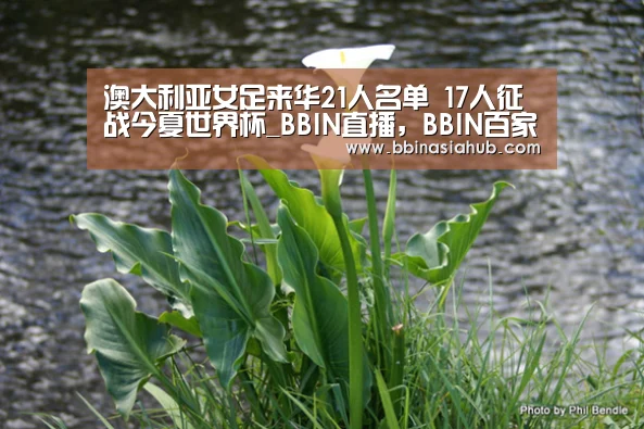 BBIN直播，BBIN百家乐，BBIN娱乐城，BBIN入口