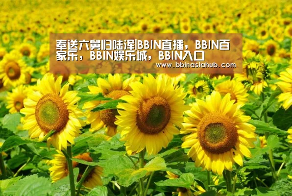 奉送六舅归陆浑|BBIN直播,BBIN百家乐,BBIN娱乐城,BBIN入口(图1) BBIN直播,BBIN百家乐,BBIN娱乐城,BBIN入口