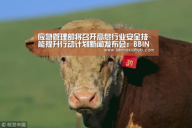 BBIN直播，BBIN百家乐，BBIN娱乐城，BBIN入口
